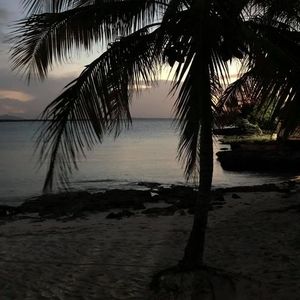 Meet your Posher, Glenda